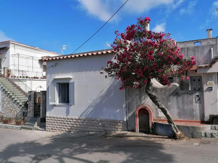 Sweet Home, Anacapri 외부 사진